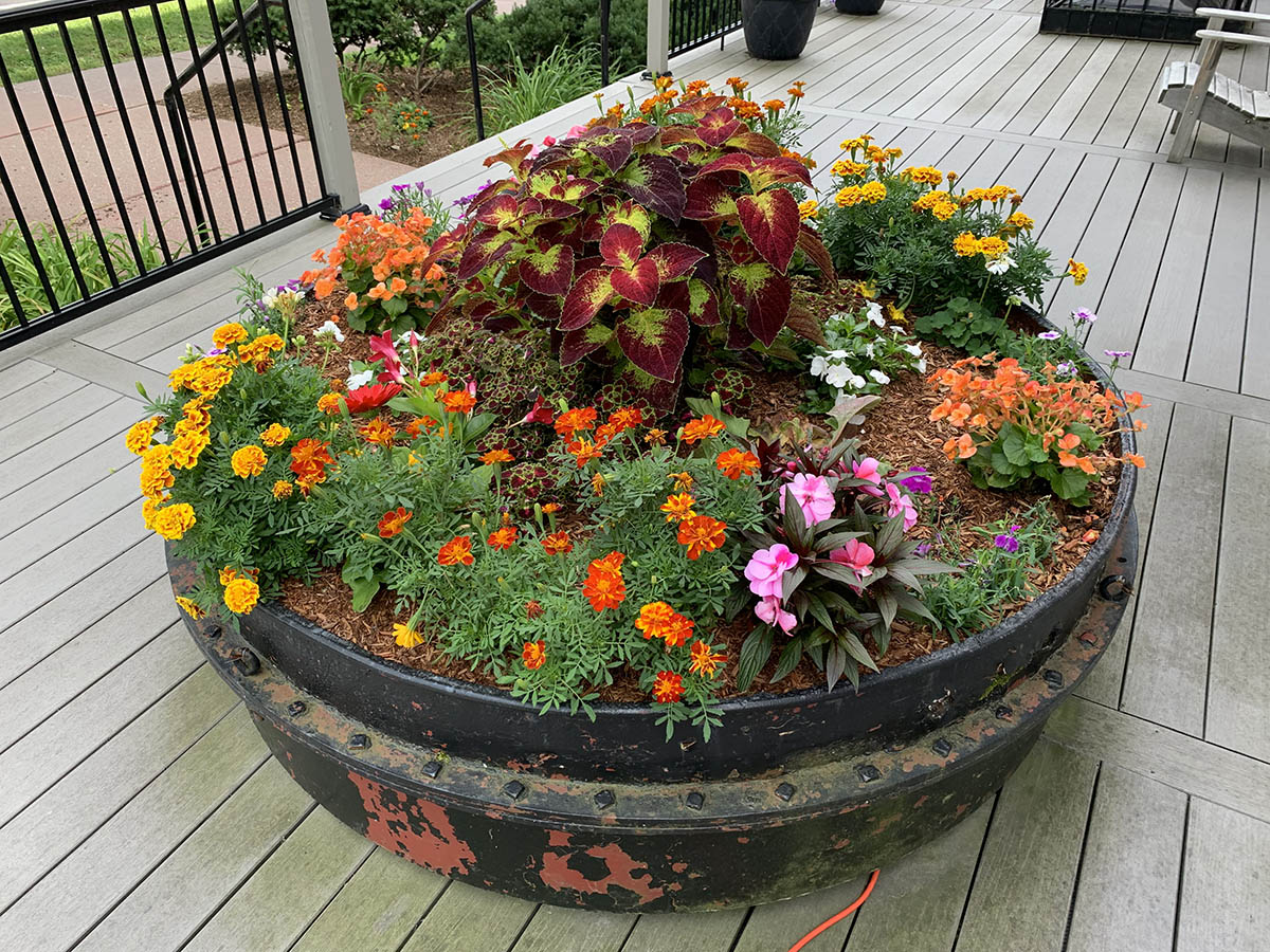 Burlington business flower planter after