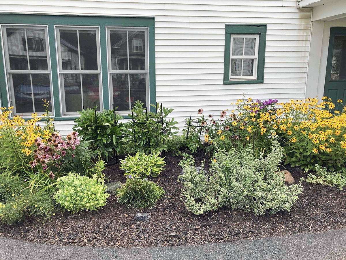 Residential flower garden spring cleaning