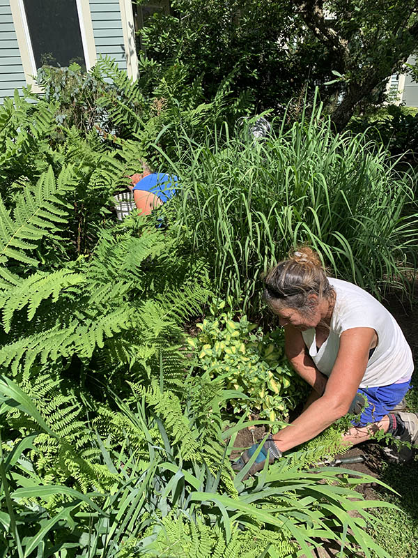 Mark and crew in the weeds in Waterbury