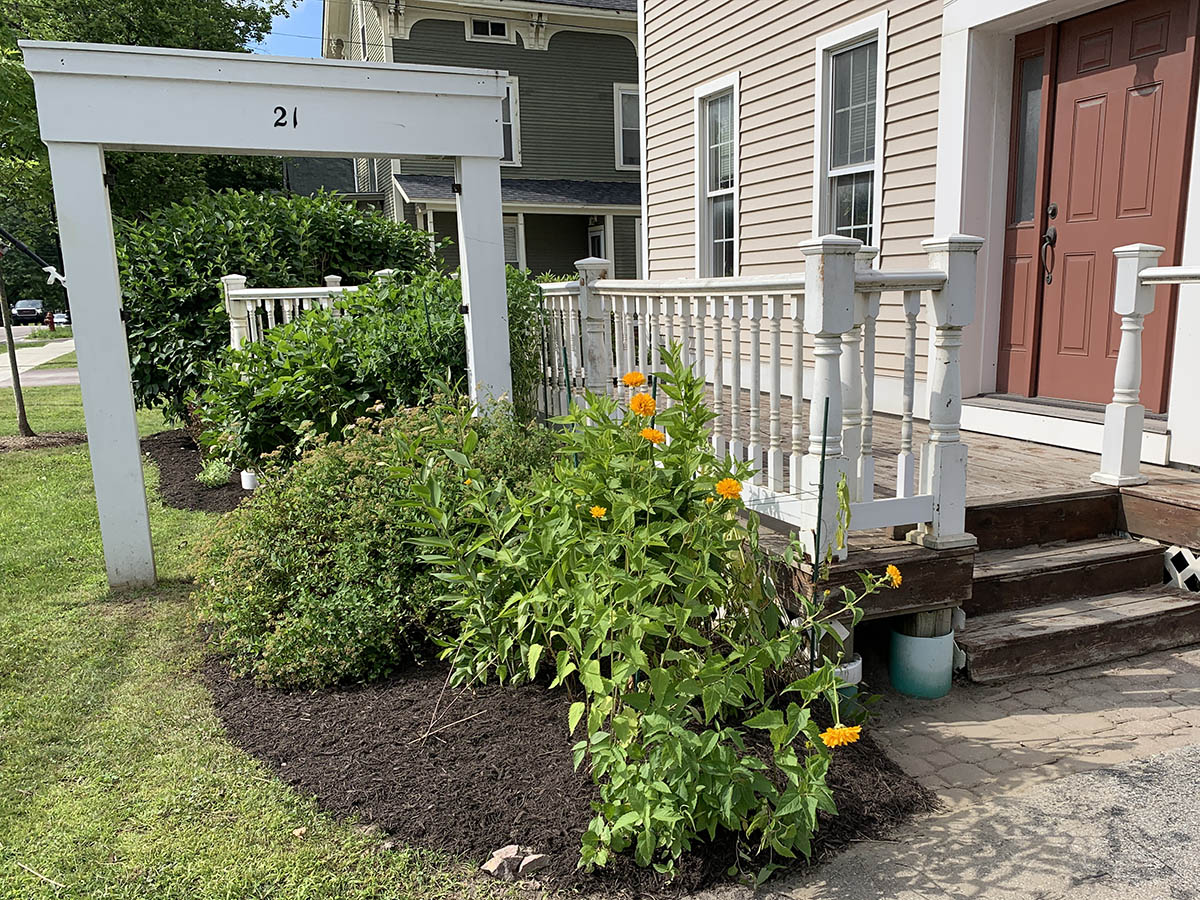 Early cleaning and planting of flowers in Vermont