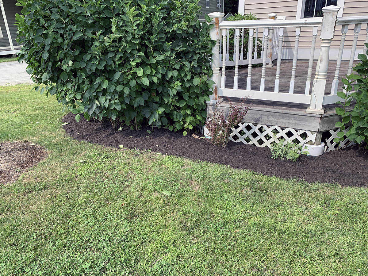 Waterbury flower beds after spring cleaning
