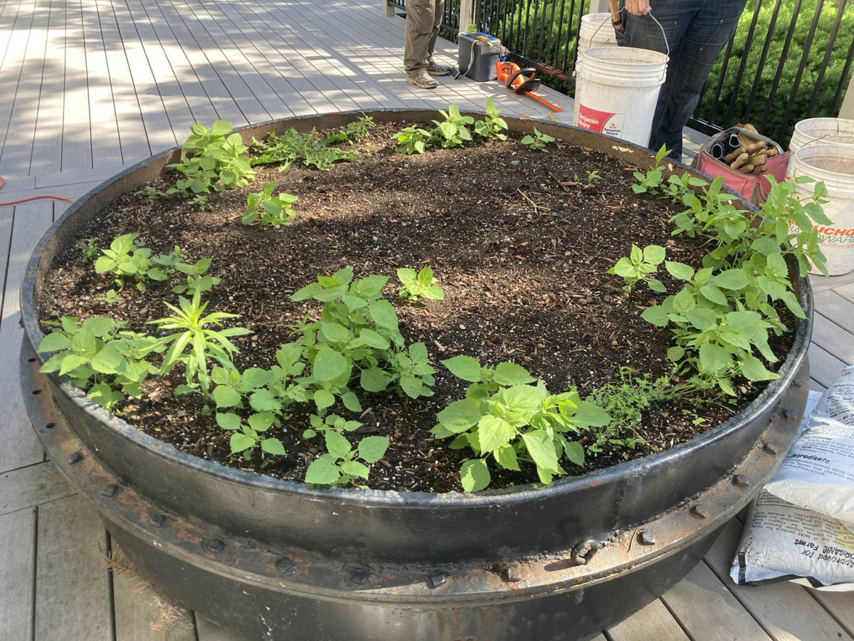 Burlington business flower planter before